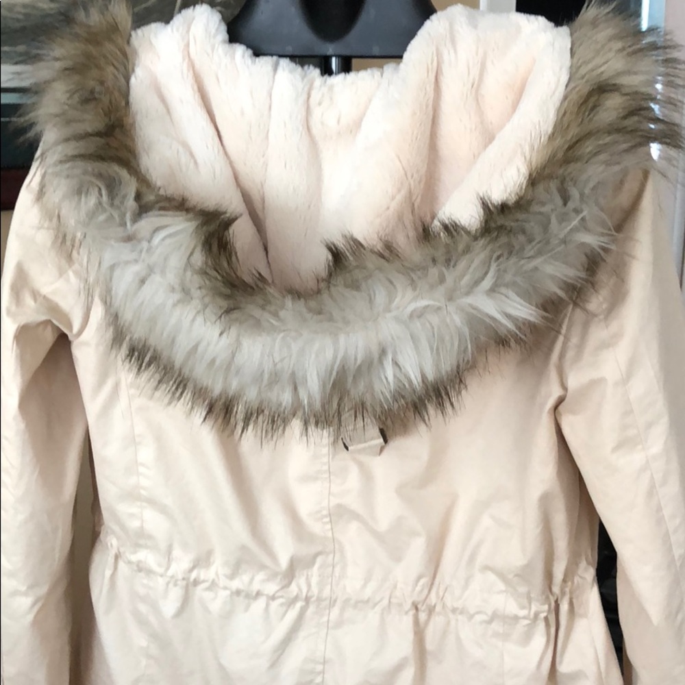 Jacket - Picture 2 of 4
